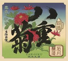 八重菊