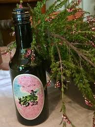鳴瀨川 （なるせがわ）