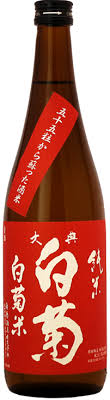 大典白菊 （たいてんしらぎく）