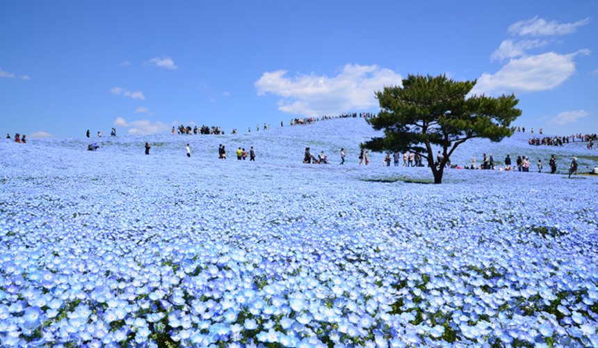 茨城縣