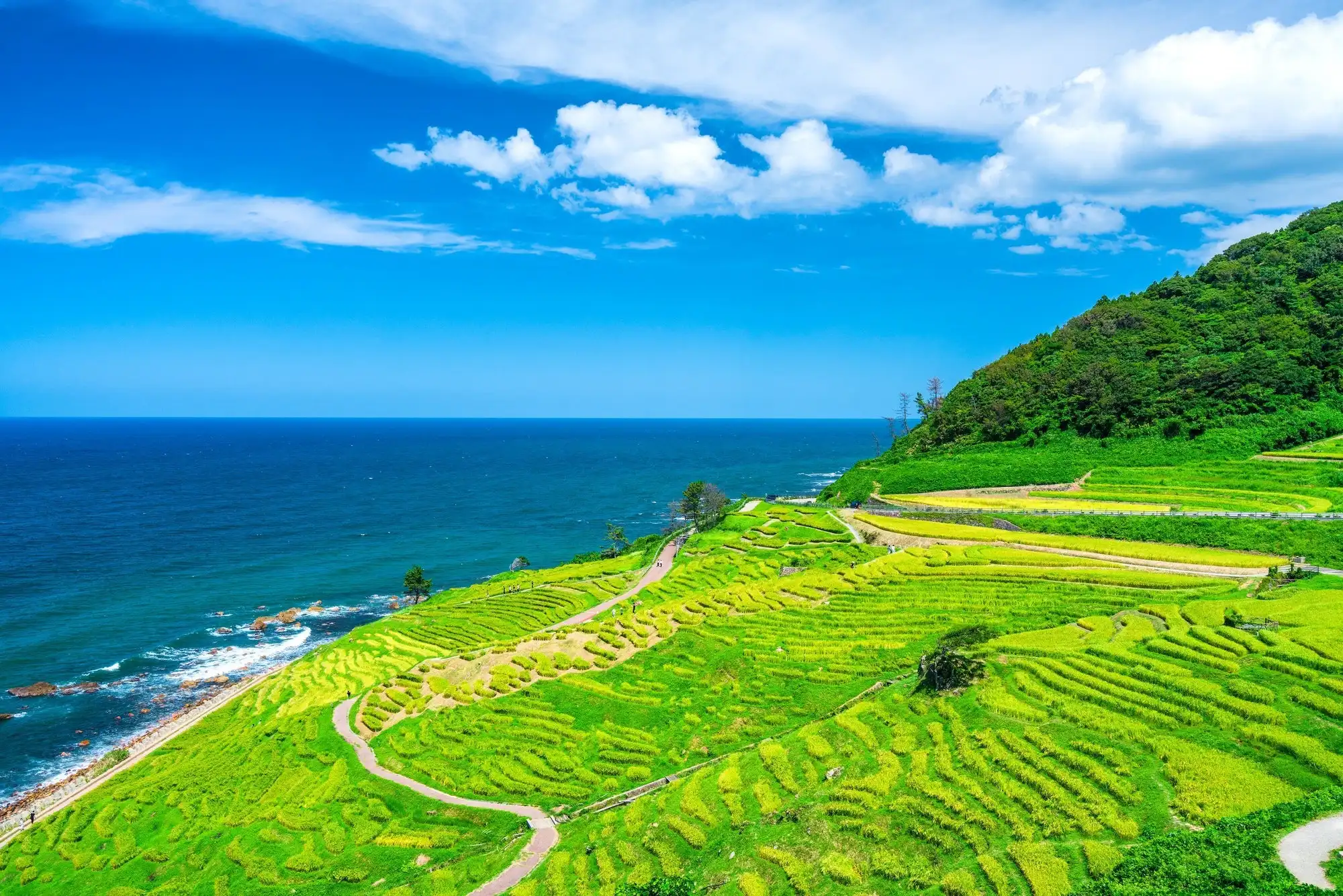 石川縣