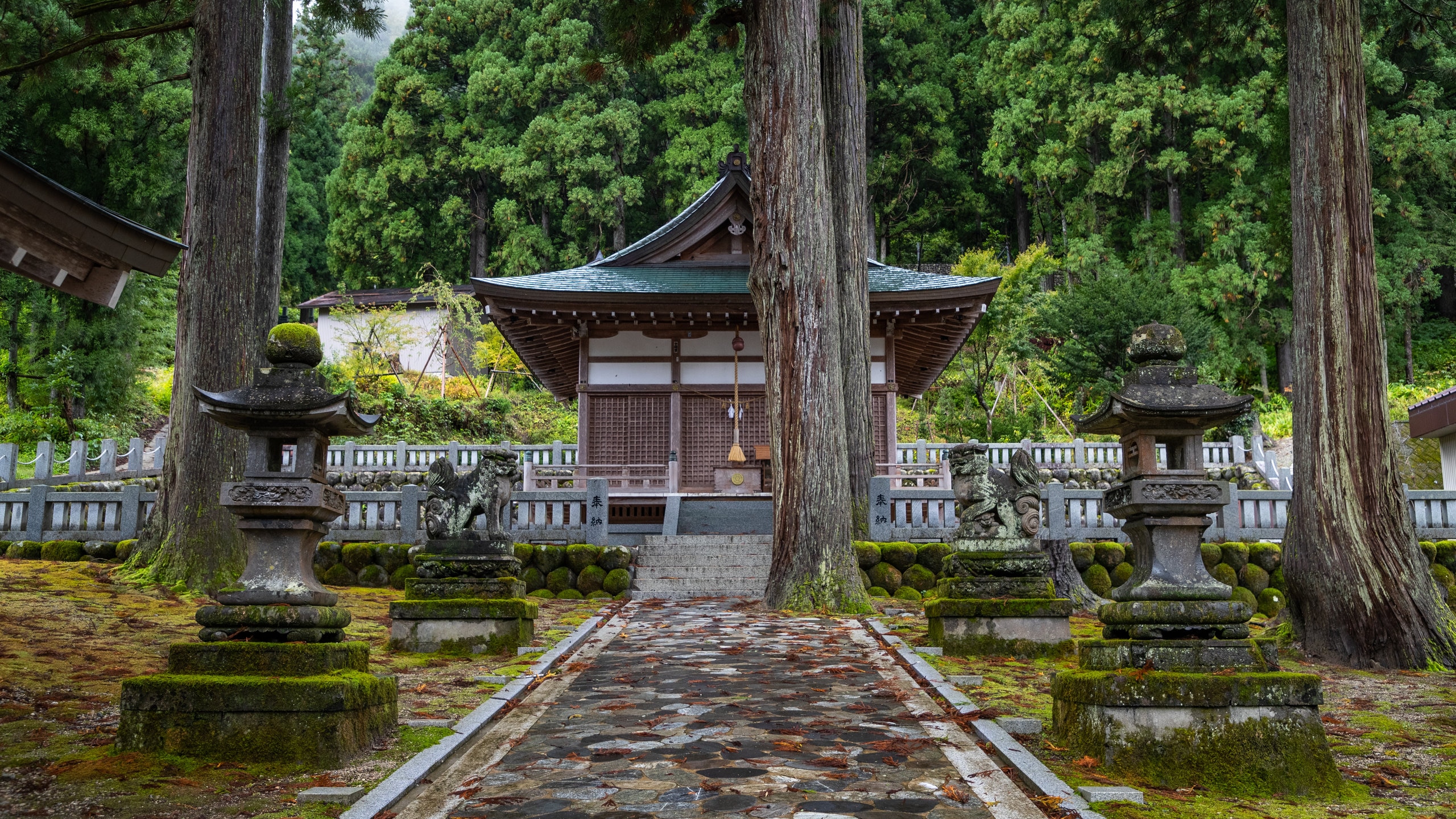 福井縣