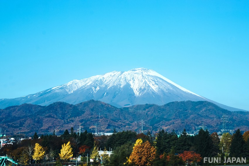岩手縣
