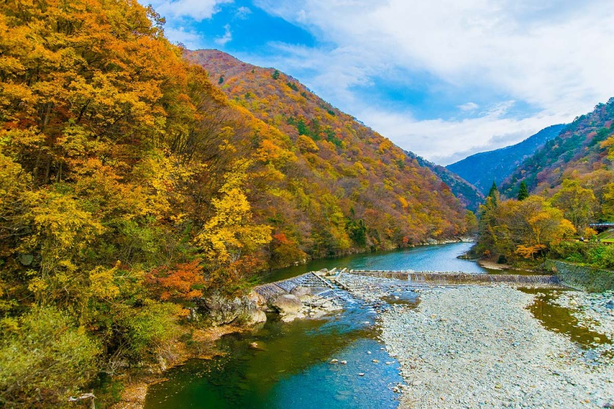 秋田縣