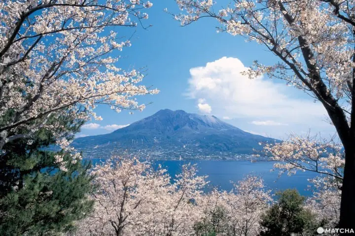 鹿兒島縣