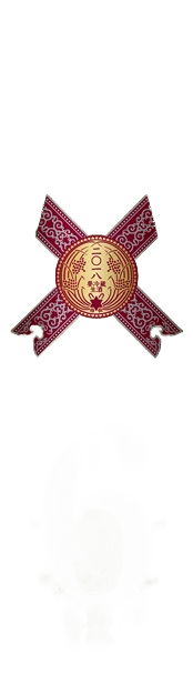 新政 No.6 X-type	