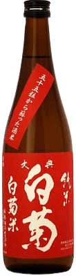 大典白菊