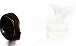 奧鹿